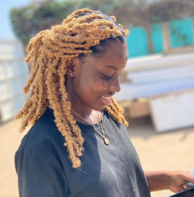 Beautiful Butterfly Locs Hairstyles