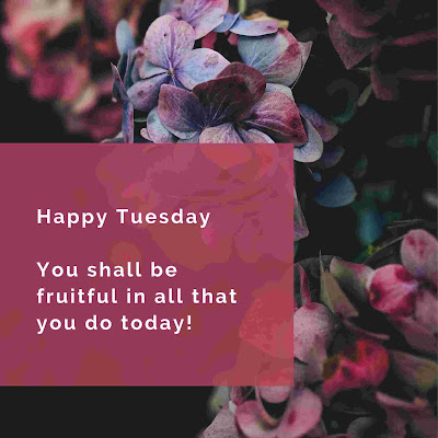 Tuesday Blessings Tuesday Blessings and Prayers