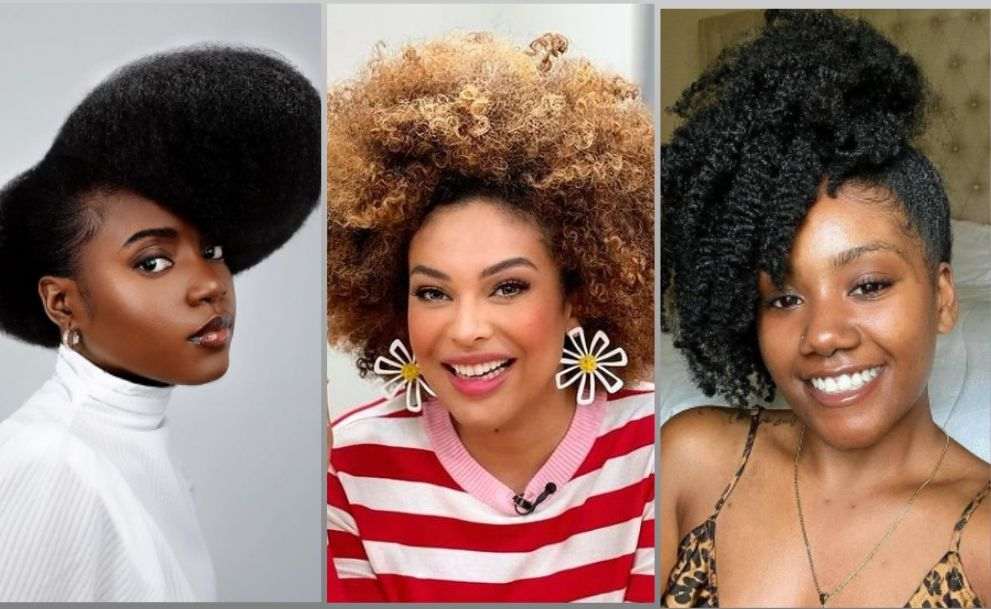 65 Best Afro Hairstyles for Ladies 2022-2023 - Claraito's Blog