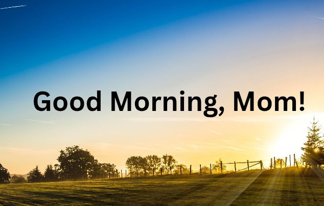 Heart Touching Good Morning Messages for Mom Far Away